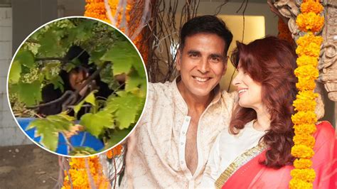 बेटी संग बोट राइड पर निकले अक्षय पेड़ में जा फंसे फिर Akshay