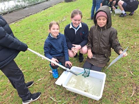 GEELONG ISIC CATCHMENT WORKSHOP SUCCESS Dolphin Research