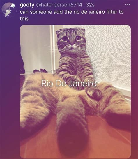 Rio De Janeiro Instagram Filter Meme Rio De Janeiro Instagram Filter