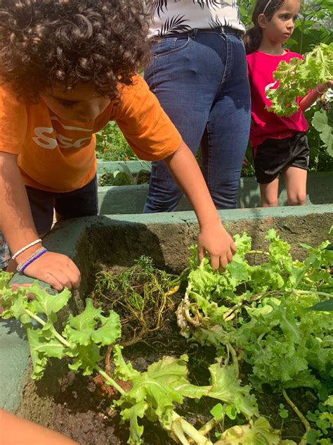 A natureza é das infâncias Portal da Educação Sesc RJ