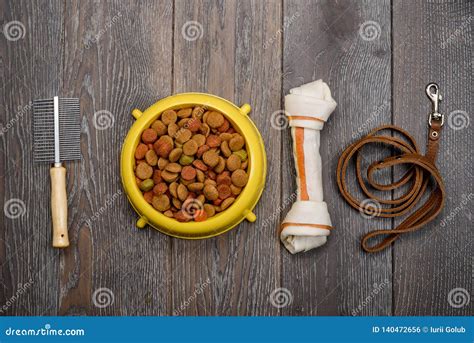 Set of dog`s supplies stock photo. Image of fish, ball - 140472656