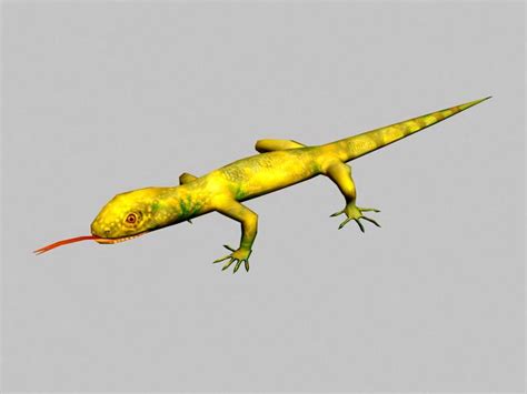 Two Color Lizard 3d Model 3ds Max Files Free Download Cadnav