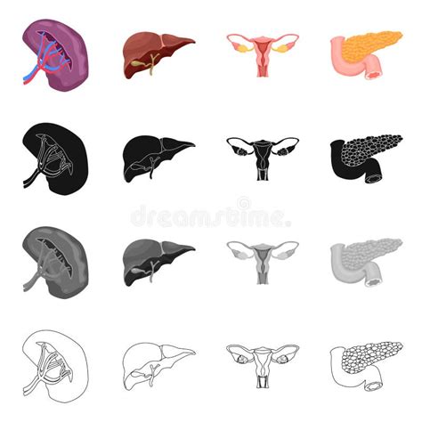 Isolated Object Of Body And Human Logo Set Of Body And Medical Stock