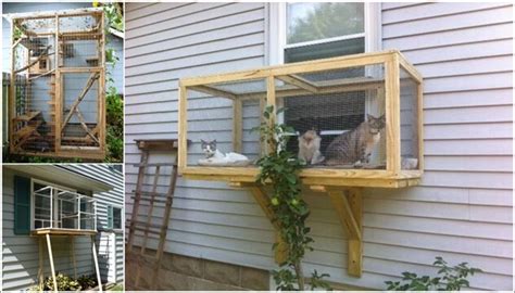 Build A Catio For Your Cats To Enjoy