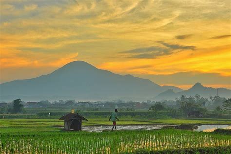 Masyaallah Indahnya Pemandangan Di Pedesaan Sumedang Ini Bikin Hati