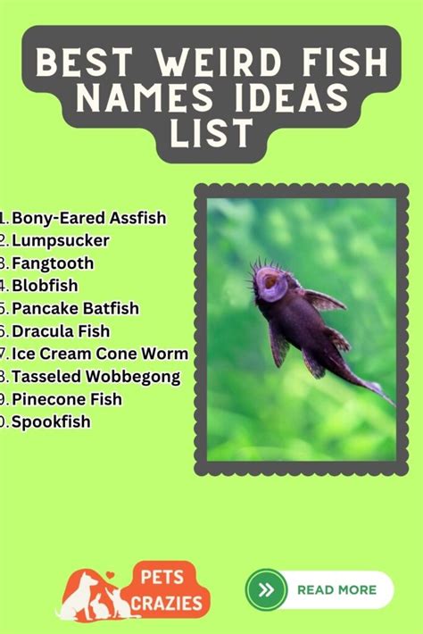 200+ Weird Fish Names (Splash with Aquatic Aliases)