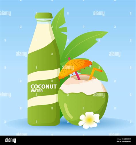 Green Coconut Water Drink Glass Bottleflat Vector Illustration Stock