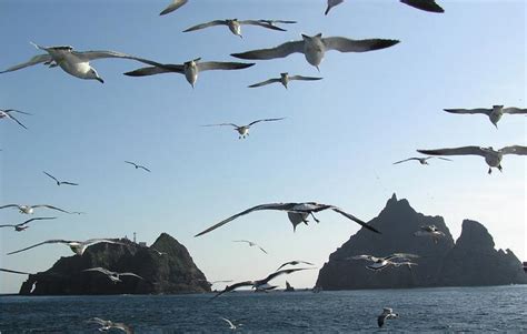 Diplomat wannabe of Korea: Dokdo, the small but invaluable island of ...