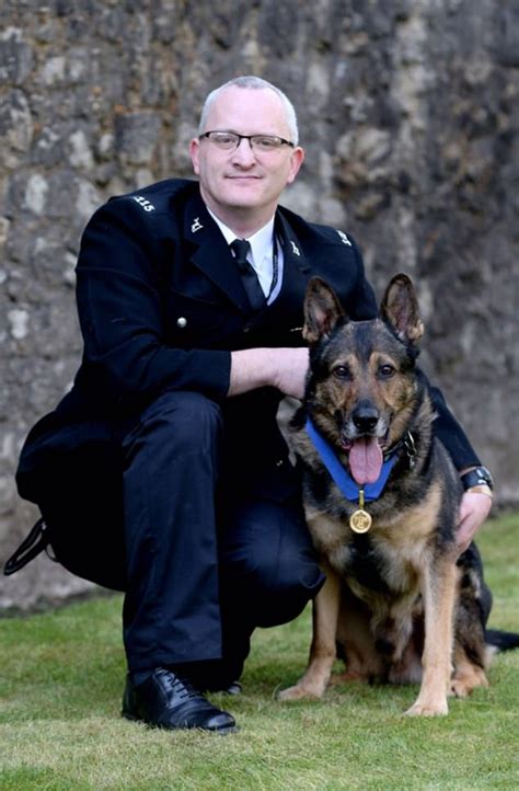 Finn´s Law Named After Hero Police Dog Who Reached Final Of Britains