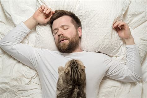 What Sleeping Positions Say About Your Cat Catastic