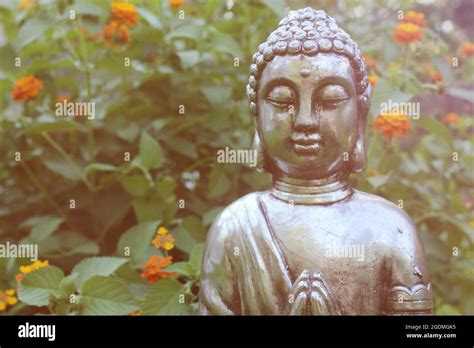 Buddha Statue in Garden with green plants in background Stock Photo - Alamy