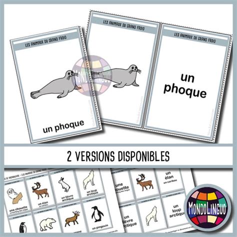 Cartes De Vocabulaire Animaux Du Froid