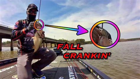 How To Fish Crankbaits For Fall Bass Youtube