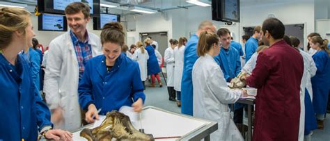 University Of Liverpool Bachelor Of Veterinary Science The Veterinary Map