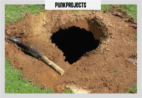 Clean Up Stump Grindings (Easiest Way & Alternative) - PuNk PrOjEcT