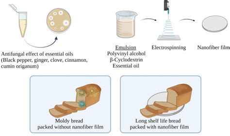 Antifungal Activities Of Different Essential Oils And Their Electrospun Nanofibers Against