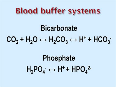 Blood Biochemistry Online Presentation