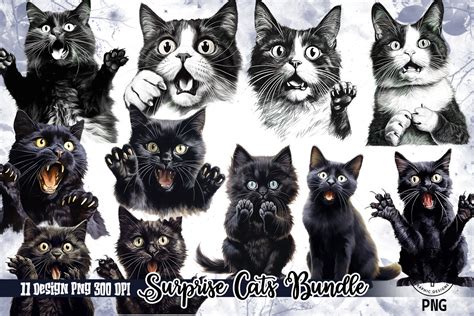 Surprise Cats Sublimation Clipart Png Graphic By Mfreem Creative Fabrica