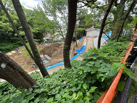 【福岡市中央区】西公園が変わります！まずはドッグラン整備工事。「県営西公園再整備基本計画」進行中です。＜2023年7月撮影＞ 号外net