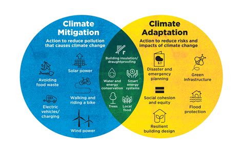 Climate Emergency Your Say Darebin