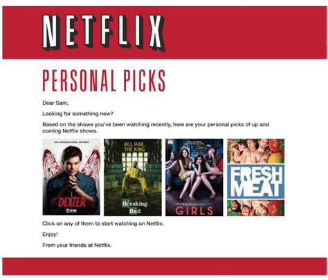 Netflix Marketing Strategy: A Success in The Industry