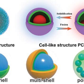 Celllike Structure Microcapsule Confinement A Schematic Illustration