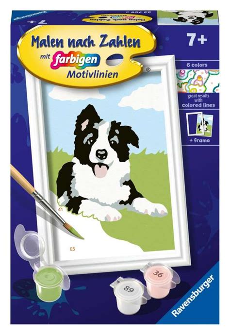 Ravensburger CreArt 23759 Border Collie Welpe Malen Nach Zahlen