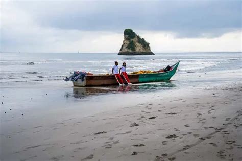 Colombiafrank’s Tumaco Colombia Travel Guide | Pelecanus