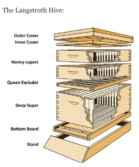 Parts Of A Bee Hive Diagram