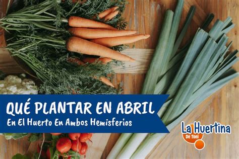 Qu Plantar En Abril En El Huerto En Los Dos Hemisferios