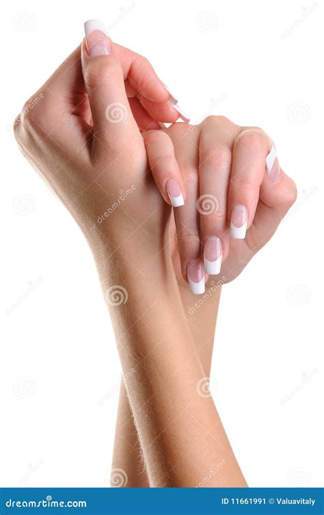 Beautiful Female Hands Stock Image Image 11661991