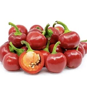 Piccante Calabrese Cherry Pepper Seeds Heirloom NJ USA See My Store for ...