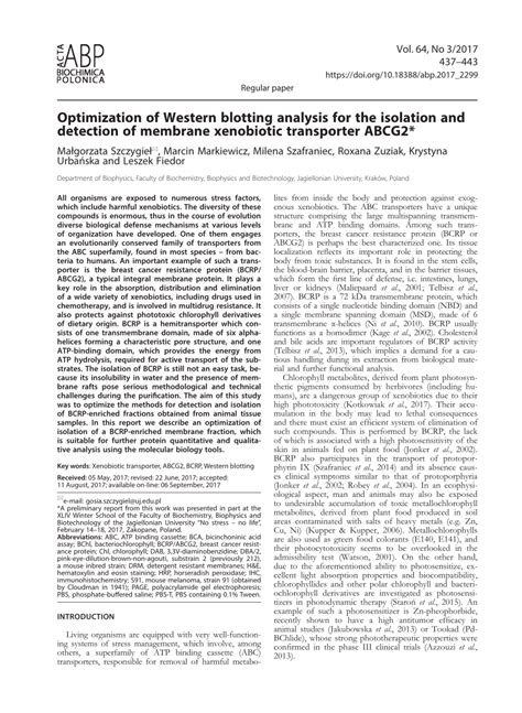 Pdf Optimization Of Western Blotting Analysis For The Isolation And