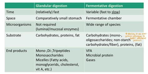 L26 Forestomach Fermentation Digestion I Flashcards Quizlet