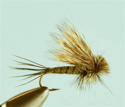 Hairwing Green Drake The Missoulian Angler Fly Shop