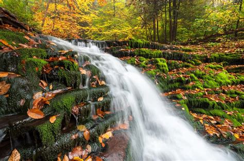 Allegheny National Forest