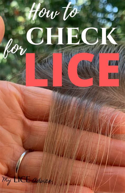 How To Check For Lice Simple Steps With Pictures Artofit