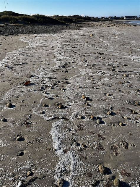 Billes Plastiques Sur Les Plages Comprendre Le Ph Nom Ne Pour Tenter