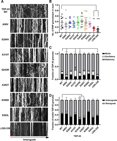 Frontiers Sequence Determinants Of TDP 43 Ribonucleoprotein