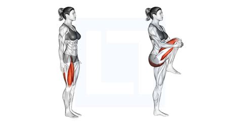 Knee Raise Guide Benefits And Form