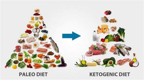 What’s The Difference Between Paleo And Keto Inspire Health