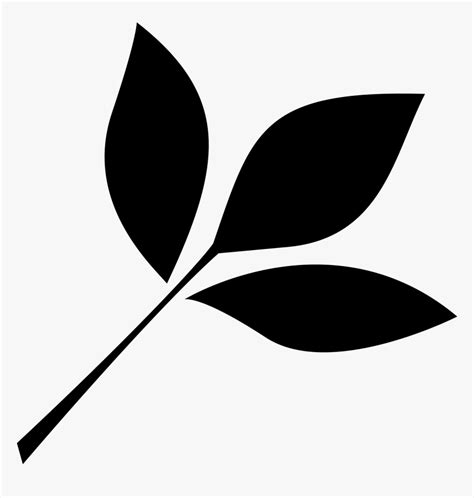 Leaves Png Black And White Download Transparent Leaf Png For Free On