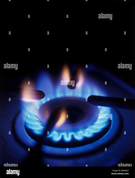 Flame Of Burner On A Gas Stove Appliance Stock Photo Alamy