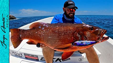 Pesca De Pargos Gigantes D A Pico Youtube