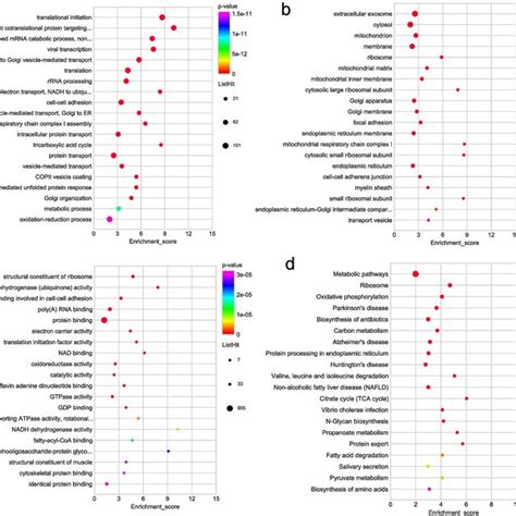 Go And Kegg Functional Enrichment Bubble Plots Of Upregulated Deps A