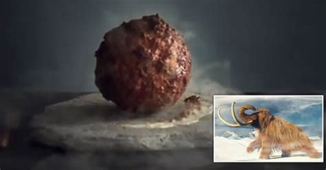 Wooly Mammoth Meatball Created Using Extinct Animals Cells World