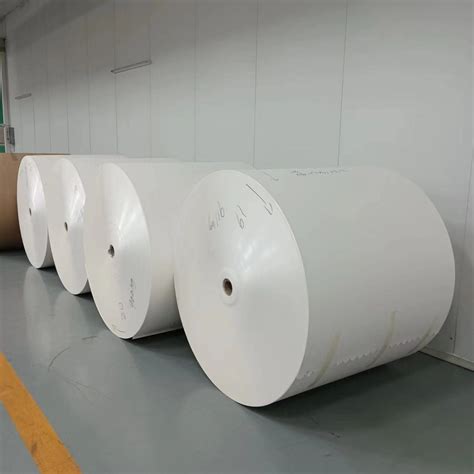 Single Side PE Coated Paper Cup Material Roll 190GSM 210GSM 300GSM PE