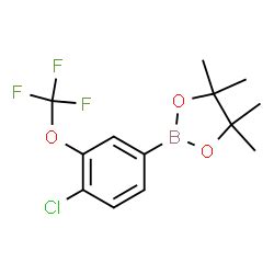 CAS 2098632 65 4 4 Chloro 3 Trifluoromethoxy Phenylboronic Acid