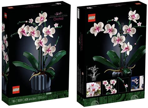 Beautiful LEGO Orchid And Succulents Sets Designed To Help Adults With ...