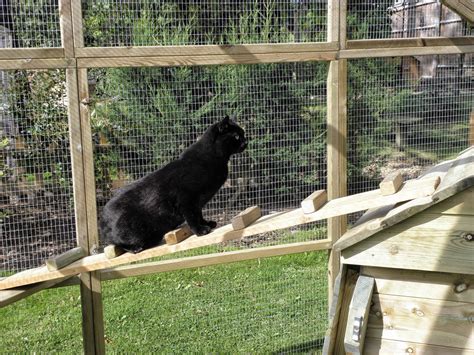 Flyte So Fancy Outdoor Cat Play Pens